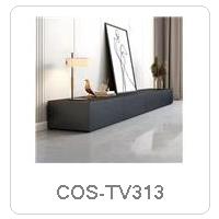 COS-TV313